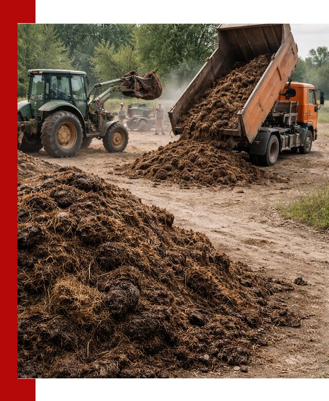 Доставка навоза самосвалами в Феодосии для сельхозпотребностей